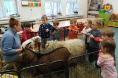 wiejska-farma-aleny-u-misiow-17