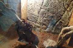 wycieczka-przedszkolakow-do-gdanskiego-ogrodu-zoologicznego-07