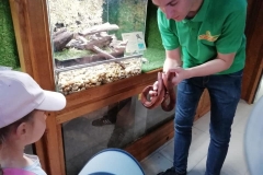 wycieczka-przedszkolakow-do-gdanskiego-ogrodu-zoologicznego-08