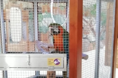 wycieczka-przedszkolakow-do-gdanskiego-ogrodu-zoologicznego-12
