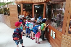 wycieczka-przedszkolakow-do-gdanskiego-ogrodu-zoologicznego-14
