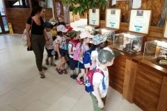 wycieczka-przedszkolakow-do-gdanskiego-ogrodu-zoologicznego-15