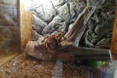 wycieczka-przedszkolakow-do-gdanskiego-ogrodu-zoologicznego-20