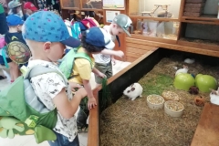 wycieczka-przedszkolakow-do-gdanskiego-ogrodu-zoologicznego-24