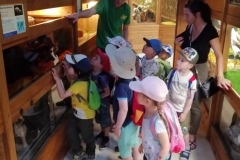 wycieczka-przedszkolakow-do-gdanskiego-ogrodu-zoologicznego-26