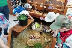 wycieczka-przedszkolakow-do-gdanskiego-ogrodu-zoologicznego-28