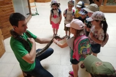 wycieczka-przedszkolakow-do-gdanskiego-ogrodu-zoologicznego-30