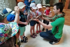 wycieczka-przedszkolakow-do-gdanskiego-ogrodu-zoologicznego-43
