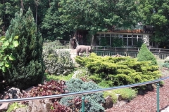 wycieczka-przedszkolakow-do-gdanskiego-ogrodu-zoologicznego-47