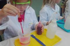 zajecia-chemiczne-smart_lab-w-delfinkach-02
