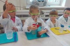 zajecia-chemiczne-smart_lab-w-delfinkach-14