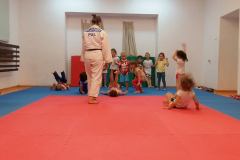 zajecia-judo-w-przedszkolu-04