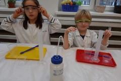 zajecia-smart_lab-w-delfinkach-15