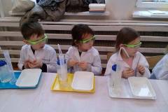Zajęcia u Delfinków- Smart_Lab Co nam wyznacza kierunek