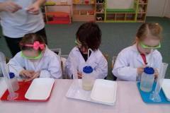 zajecia-u-delfinkow-smart_lab-co-nam-wyznacza-kierunek-06