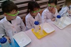 zajecia-u-delfinkow-smart_lab-co-nam-wyznacza-kierunek-10