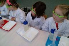 zajecia-u-delfinkow-smart_lab-co-nam-wyznacza-kierunek-12