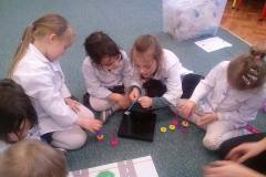 zajecia-u-delfinkow-smart_lab-co-nam-wyznacza-kierunek-15