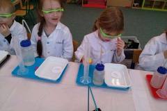 zajecia-u-delfinkow-smart_lab-co-nam-wyznacza-kierunek-17