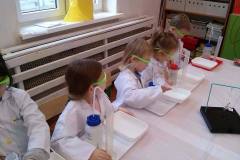 zajecia-u-delfinkow-smart_lab-co-nam-wyznacza-kierunek-24